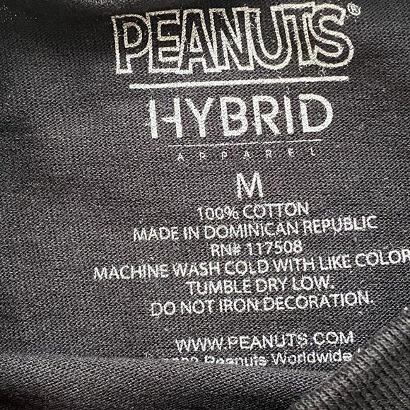 Peanuts Hybrid Apparel It's the Great Pumpkin Charlie Brown T-Shirt Sz Various - Picture 3 of 5
